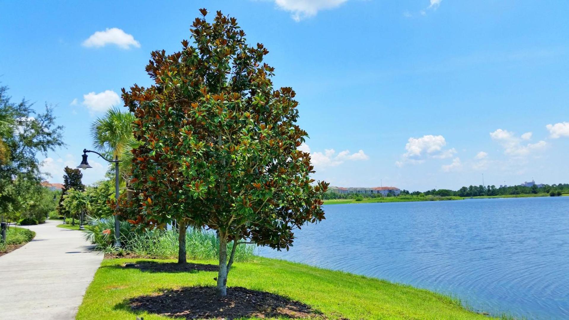 Lovely Townhome At Vista Cay Resort Near Wdw أورلاندو المظهر الخارجي الصورة